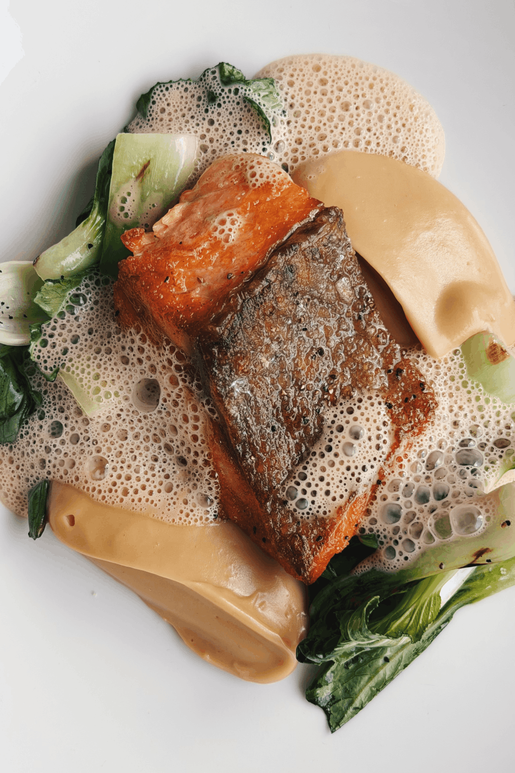 Dish 6